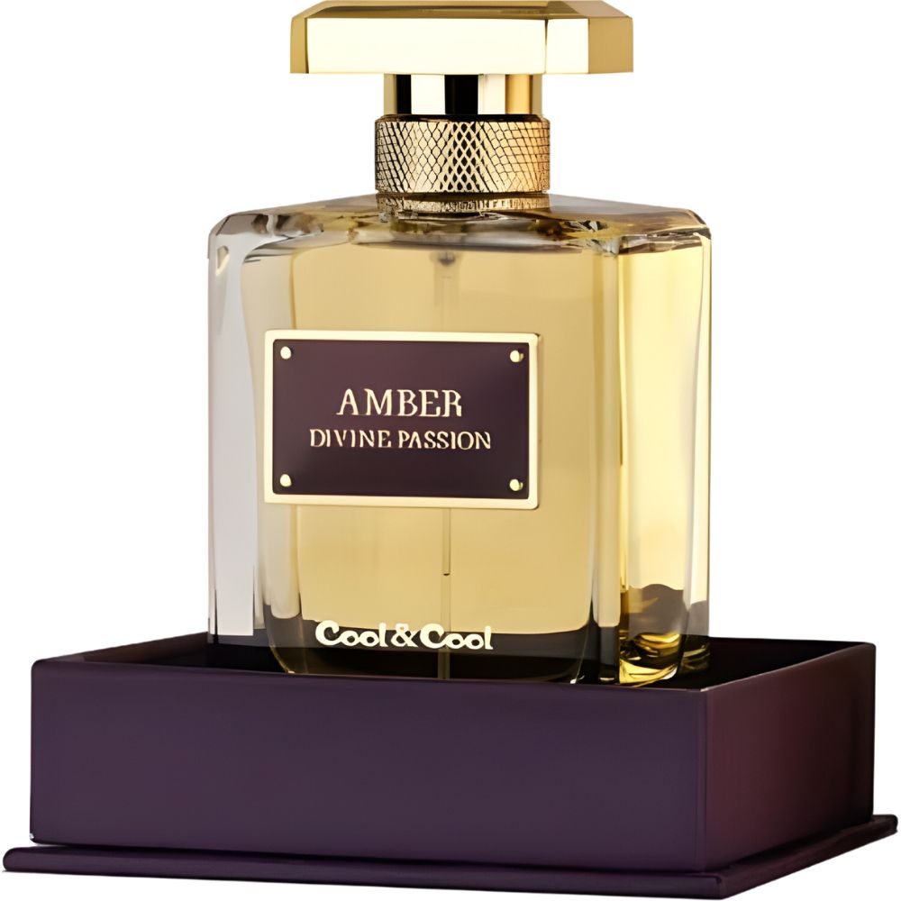 Perfume Cool & Cool Amber Divine Passion Eau de Parfum Feminino 100ML