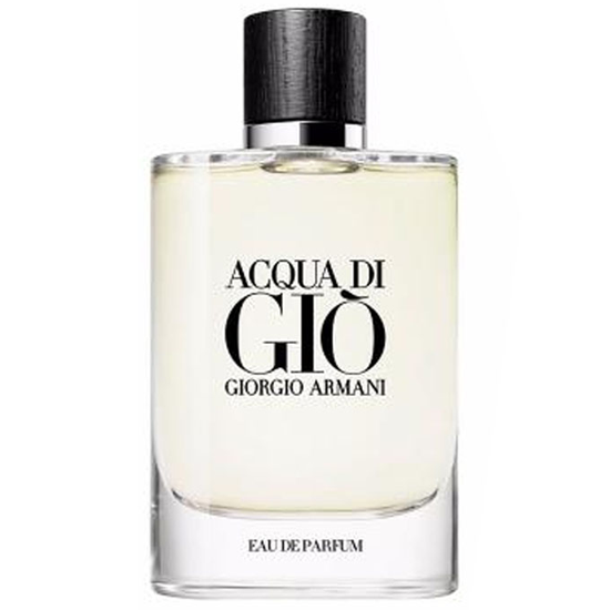 Perfume Giorgio Armani Acqua Di Giò Eau de Parfum Masculino 125ML
