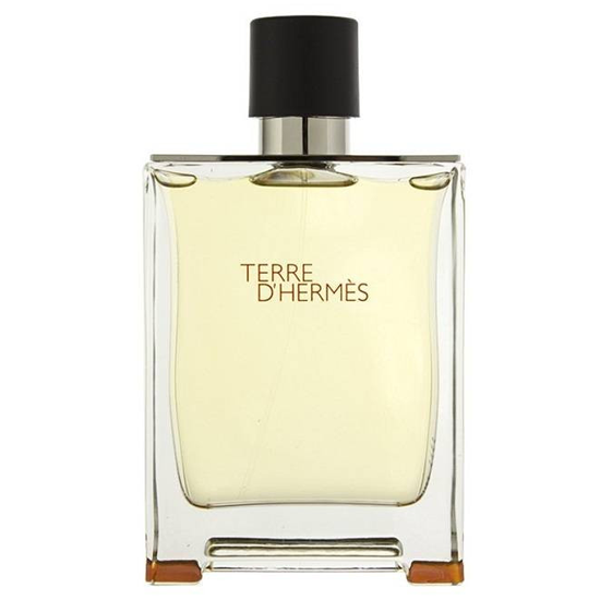 Perfume Hermes Terre D'Hermes Eau de Toilette Masculino 100ML