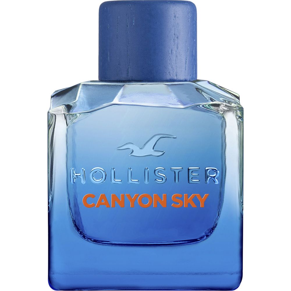 Perfume Hollister Canyon Sky Eau de Toilette Masculino 100ML