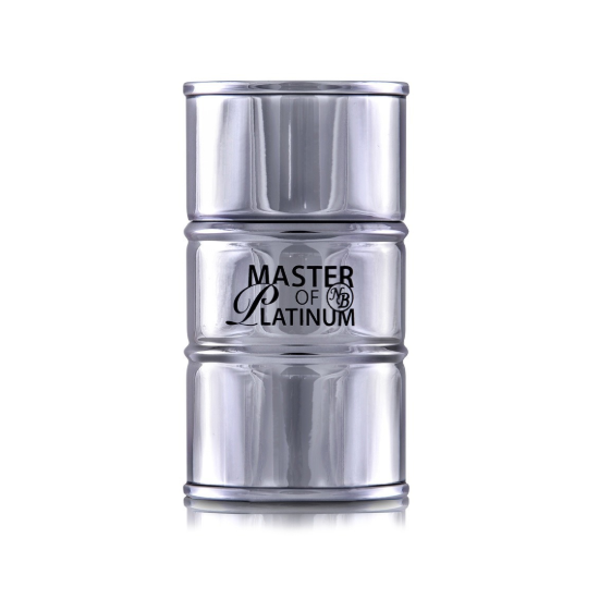 Perfume New Brand Master Of Platinum Eau de Toilette Masculino 100ML