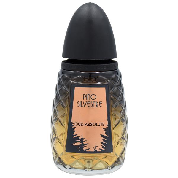 Perfume Pino Silvestre Oud Absolute Eau de Toilette Masculino 125ML
