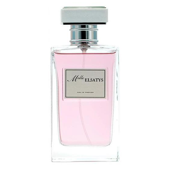 Perfume Reyane Tradition Melle Elsatys Eau de Parfum Feminino 100ML foto principal