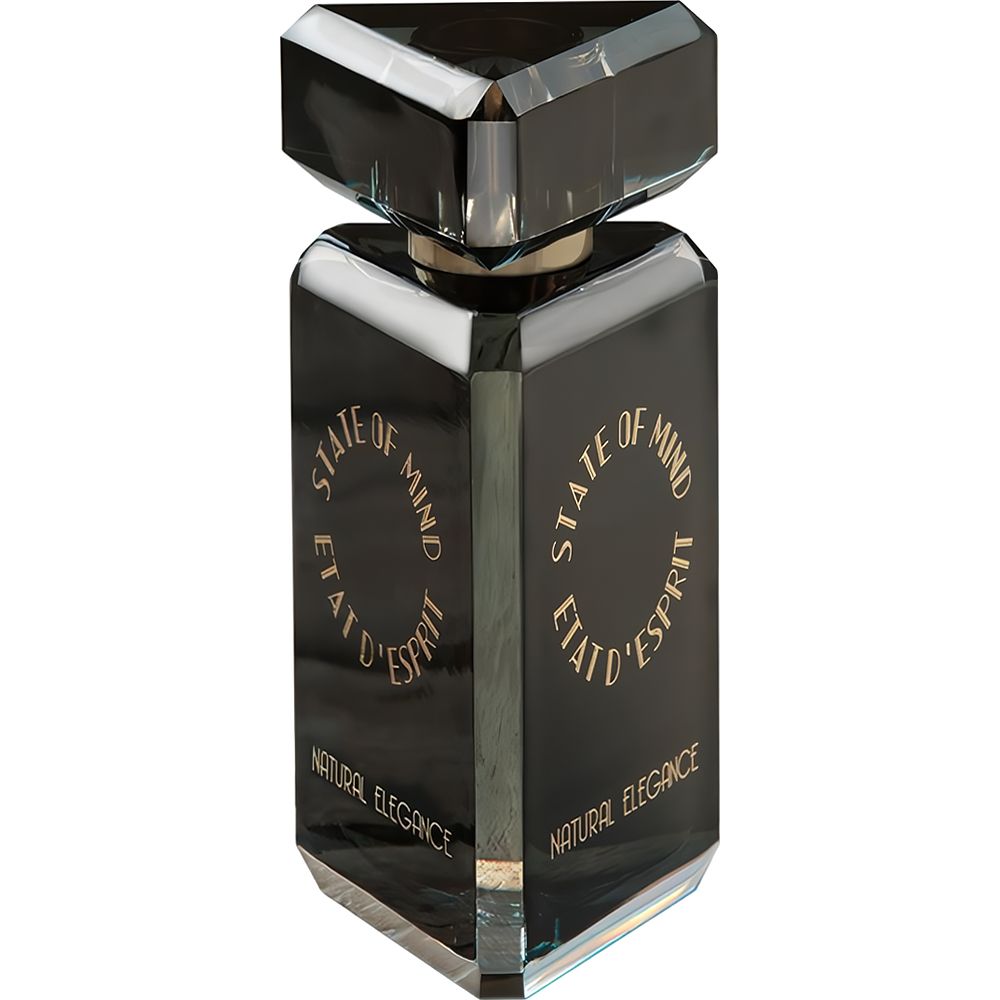 Perfume State Of Mind Natural Elegance Eau de Parfum Unissex 100ML