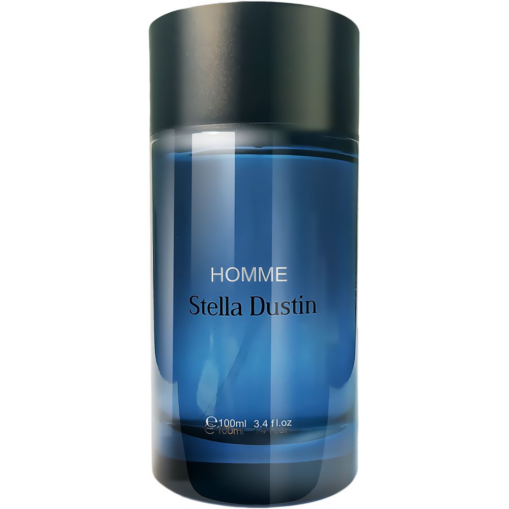 Perfume Stella Dustin Homme Eau de Parfum Masculino 100ML