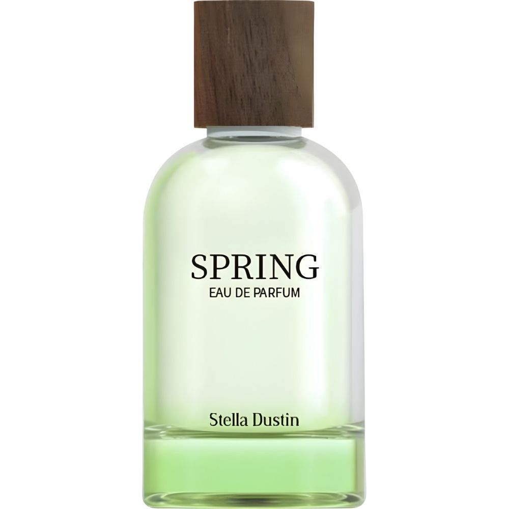 Perfume Stella Dustin Spring Eau de Parfum Feminino 100ML