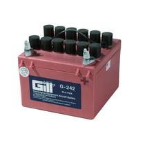 Gill Battery G242 DRY 24V 10AH 3QT