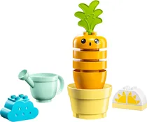 Lego Duplo Growing Carrot - 10981 (11 Peças)