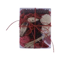 Flores Secas Concepts 420-553018