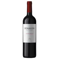 Vinho Benjamin Nieto Senetiner Tempranillo 750ML