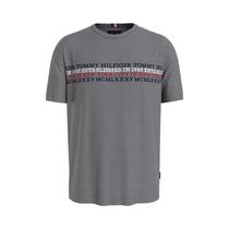 Camiseta Tommy Hilfiger MW0MW32618 P91