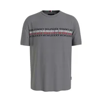 Camiseta Tommy Hilfiger MW0MW32618 P91