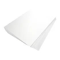 Papel de Imp. Termica A-PD530 Sate A4-1 100 Hojas