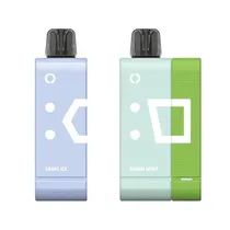 Pod Descartavel Elfbar Ew 9000 Puffs Kit - Miami Mint + Grape Ice