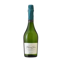s.A Tierra Sur Sparkling Wine Brut 750ML  s.A Tierra ...