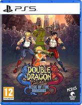 Jogo Double Dragon Gaiden Rise Of The Dragons - PS5