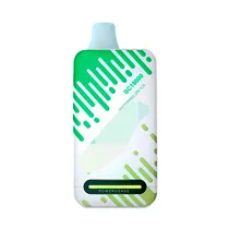 Pod Elfbar BC18000 - Watermelon Ice
