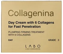 Tratamento de Dia Labo Cosprophar Day Cream With 6 Collagens Grade 3 - 50ML