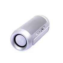 Speaker X-Tech XT-SB837 BT/FM/USB/TF Silver