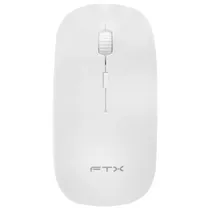  Mouse FTXM1...