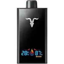 Ignite V300 30000 Puffs Watermelon Ice