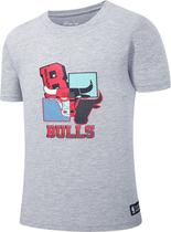 Camiseta Nba Chicago Bulls NBATS3241 GY1 - Masculina