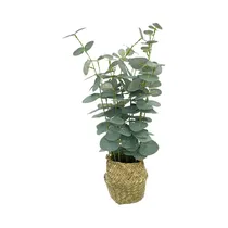 Planta Artificial En Maceta Concepts 592-301476 48 CM