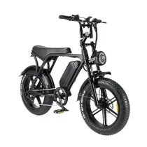 Bicicleta Elétrica Bluhan V8 - 750W - 60KM/H - 20" - Até 150KG - Preto