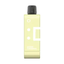 Refil Pod Descartável Elfbar EW9000 Dragon Strawnana 9.000 Puffs
