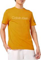 Camiseta Calvin Klein 40DC816 700 - Masculina