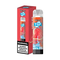 V Can 4000 Puffs Strawberry Watermelon