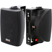 Alto Falante de Parede BLG RSX-6215 250W - Preto