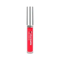 Labial Ayvanna Rêver Colormate Líquido 8HS CM220 3ML