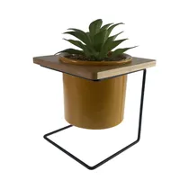 Planta En Maceta Concepts 567-49254 26 CM