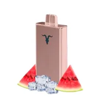 Ignite V80 Rose Watermelon Ice