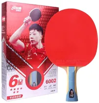 Raquete para Ping Pong 6002 DHS