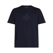 Camiseta Tommy Hilfiger MW0MW36496 DW5