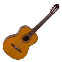 Takamine GC...