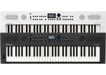 Roland Go:Keys 5-WH