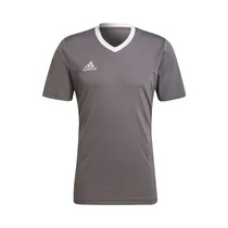 Remera Adidas HE1574 Entrada 22 Masculino