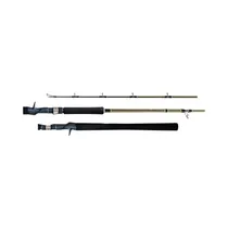 Vara para Carretilla Shimano Solara SLSC60XH2 20-60LB 1.80M 2 Partes