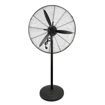 Ventilador de Pie Allwin 220V