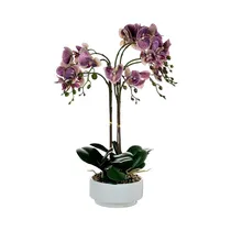 Orquídea Artificial En Maceta Concepts 456-55389 57 CM