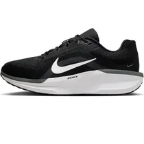 Tênis Nike Air Winflo 11 Masculino FJ9509-001