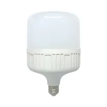 Foco LED Ecoville E27 50W 6500K 4500 Lúmenes Bivolt Bombilla