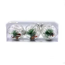Bola de Natal Transparente com Ramos de Pinheiro e Neve 8CM 3 Peças.