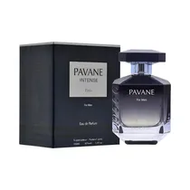 Perfume Masculino Elodie Roy Pavane Intense Edp 100ML