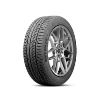 Pneu 275 45R21 DS8 110Y Delinte