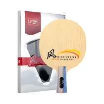 Paleta de Ping Pong DHS Wind Series W1130