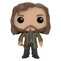  Funko Pop H...